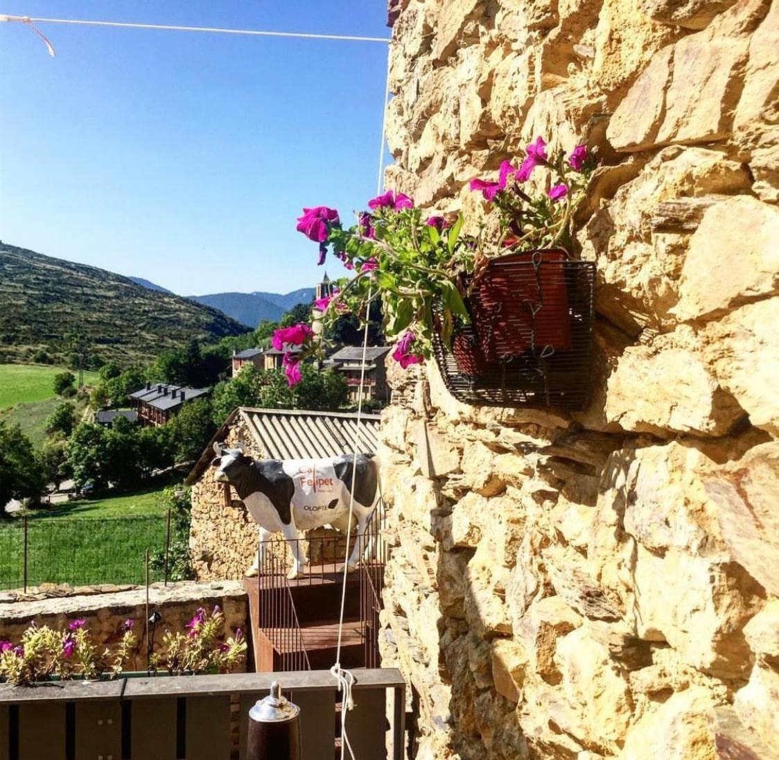 Preciosa Casa Rural Cal Felipet En Olopte-Cerdanya Kültér fotó